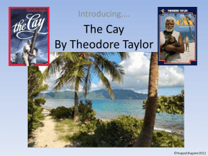 The Cay By Theodore Taylor