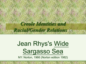 Creole Identities and Racial Relations in Jean Rhys's Wide