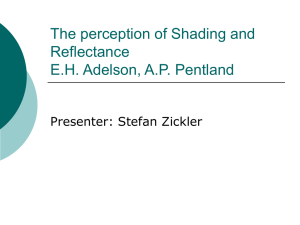 The perception of Shading and Reflectance