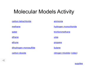Molecular Models Activity