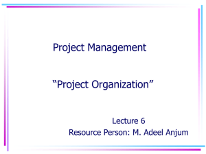 Pure Project Organization