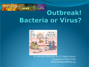 Outbreak! Bacteria or Virus?