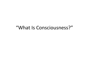 What Is Consciousness? (Powerpoint)