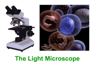 Using the Light Microscope - IBDPBiology-Dnl