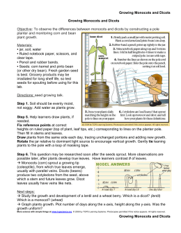 Lab: Monocot or Dicot