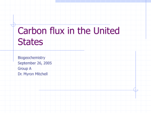 Carbon flux in the United States