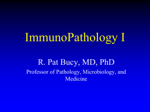 ImmunoPathology I