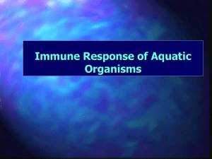 Lecture 2: Immunology of Fish and Shrimp