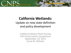 California Wetlands