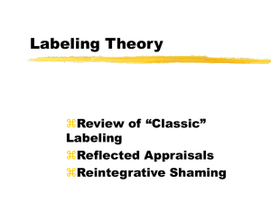 Labeling Theory (Matseuda, Braithwaite)