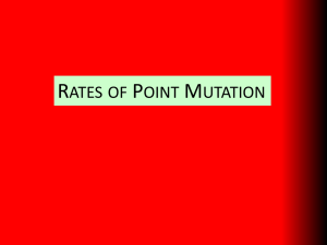 Rates of Mutation