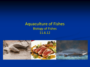 Aquaculture of Fishes (powerpoint slides)
