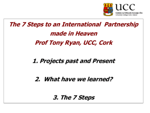 The 7 Steps to an International Partnership made in