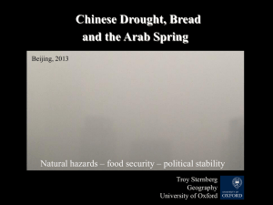 Chinese Drought, Bread and the Arab Spring