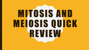 Mitosis and Meiosis Review