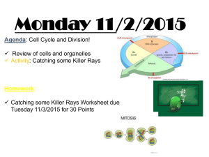 Week 4 Cell Cycle and Mitosis