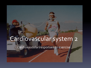 Cardiovascular system 2