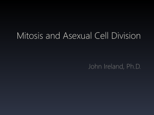 Mitosis and Asexual Cell Division