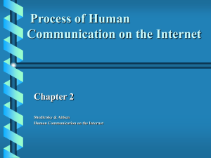 Process of Human Communication on the Internet