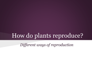 How do plants reproduce?