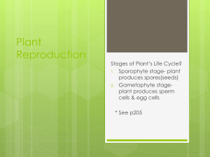6.2 Plant Reproduction