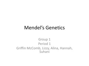 Mendel's Genetics