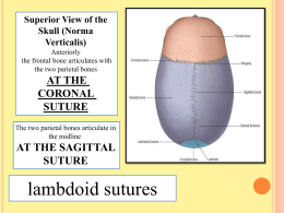 Directional Terms Worksheet