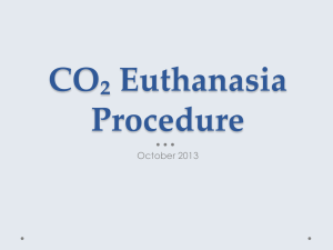 CO₂ Euthanasia Procedure