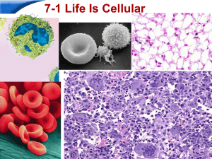 PPT 1 Life Is Cellular
