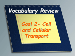 Vocabulary Review- Cells and Cellular Transport