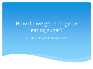 How do we get energy by eating sugar?