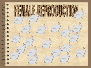 FEMALE REPRODUCTION SYSTEM