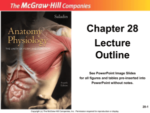 Chapter 28 - McGraw Hill Higher Education