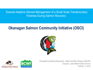Okanagan Salmon Community