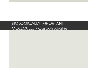 BIOLOGICALLY IMPORTANT MOLECULES