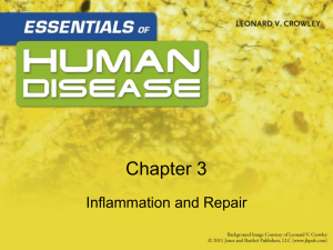 Ch 3 - Inflamation a..