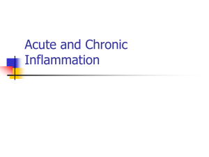 Acute and Chronic Inflammation