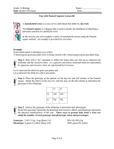 B6 Fun with Punnet Squares Lesson - CIA-Biology-2011-2012