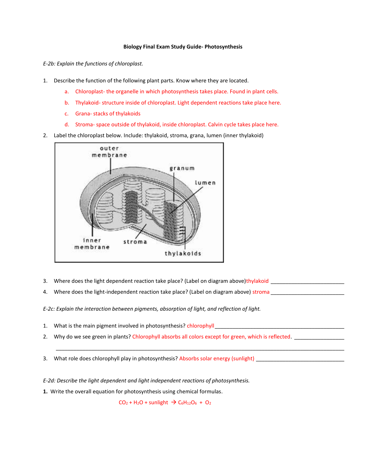 What is the role of H2O in photosynthesis?