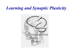 nc 10 Learning and Plasticity