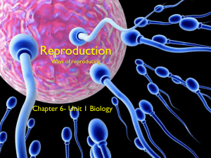 Reproduction Chapter 6  - SandyBiology1-2