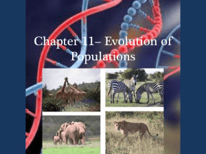 Chapter 11 - Evolution of Populations