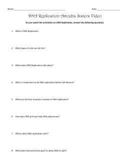 Dna replication essay