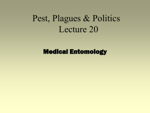 Lecture 20 - Yellow Fever & Malaria