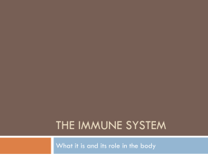 The Immune system_1
