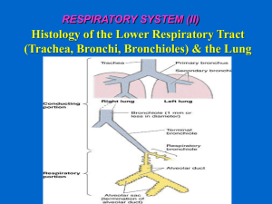 02 Integrated Respiratory II (1432