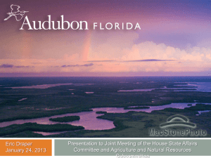 Audubon_DRAPER_Everglades_JAN2013