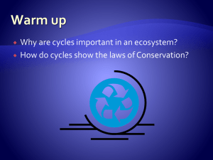 Cycles in an Ecosystem Notes