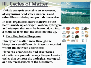III. Cycles of Matter