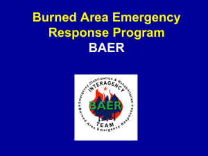 Burned Area Emergency Rehab (BAER)